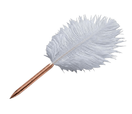 Caneta Aurora - Forever In Words